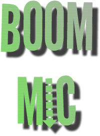 Boom Mic